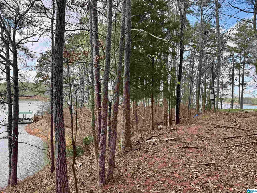 Lot 6 COUNTY ROAD 813, Wedowee, AL 36278 - #3