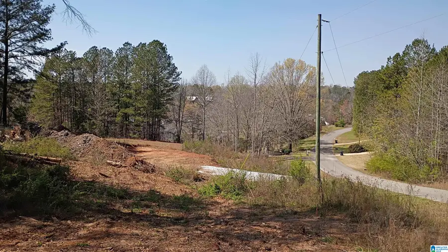Lot 34 PENINSULA DRIVE, Wedowee, AL 36278 - #2