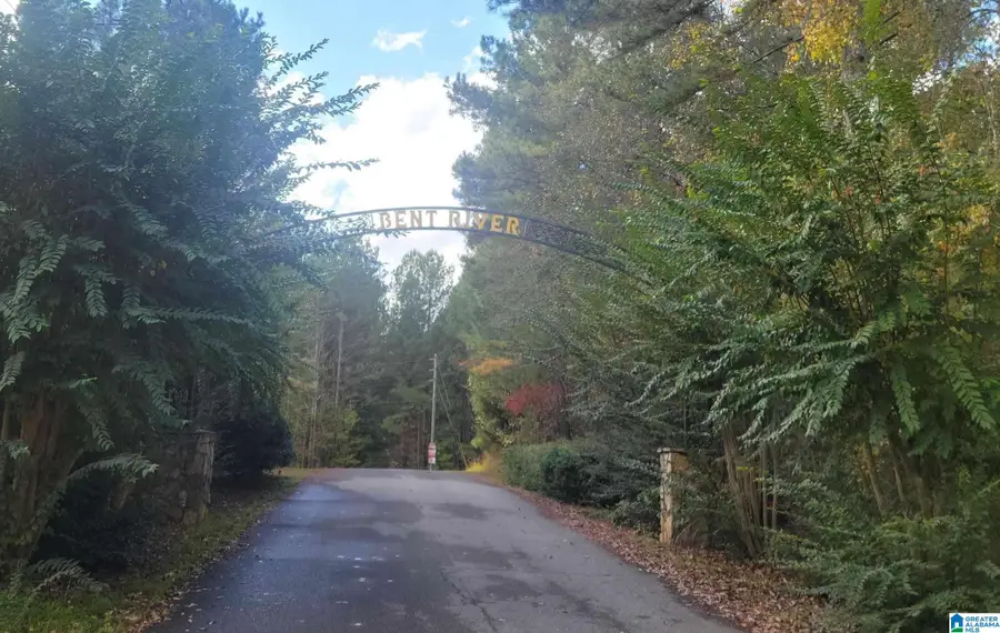 Lot 34 PENINSULA DRIVE, Wedowee, AL 36278 - #3