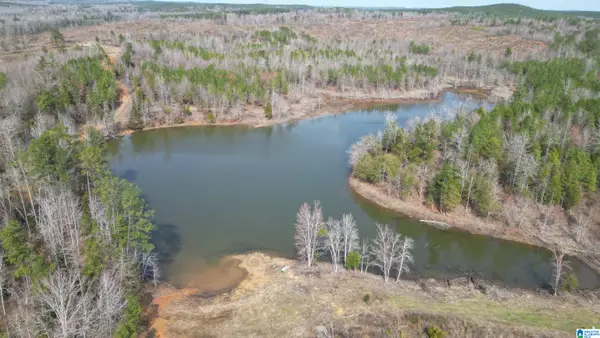 o BLUEBIRD LANE, Centreville, AL 35042