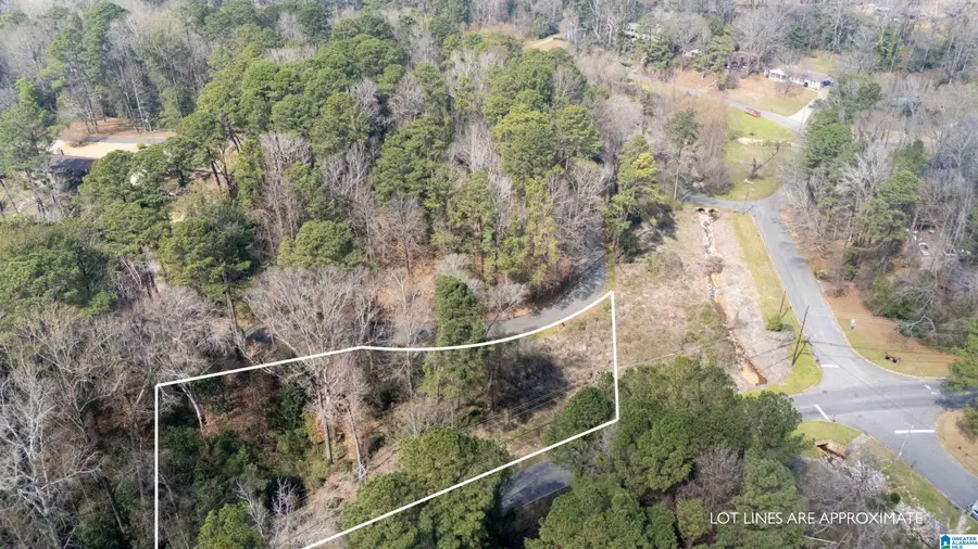 0 WOODLAND ROAD, Tuscaloosa, AL 35405 - #2