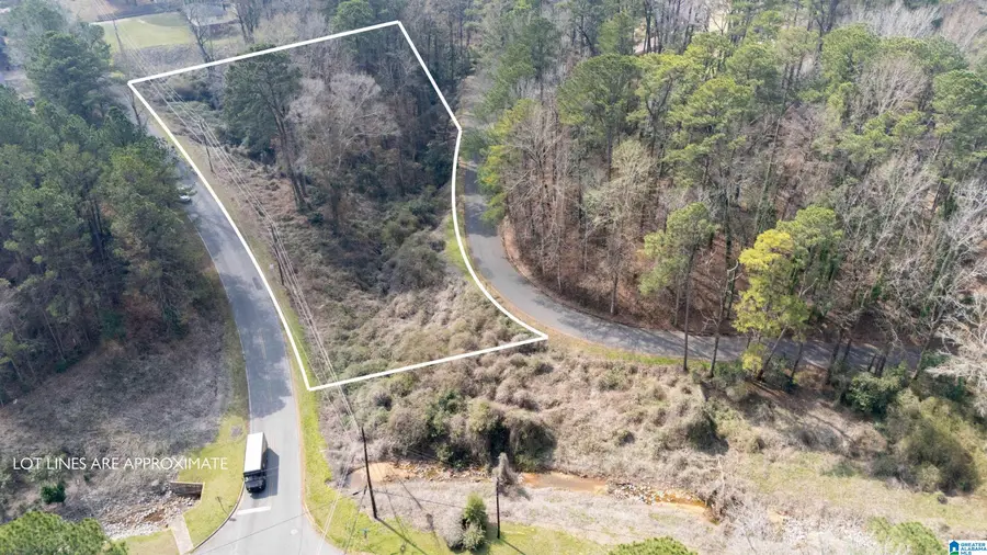 0 WOODLAND ROAD, Tuscaloosa, AL 35405 - #3