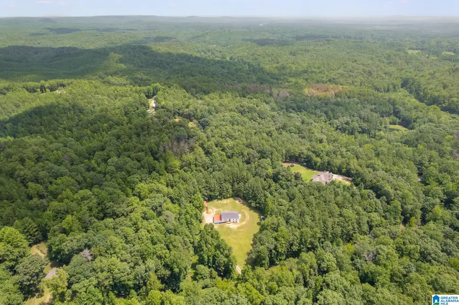 820 BOOZER ROAD, Heflin, AL 36264 - #3