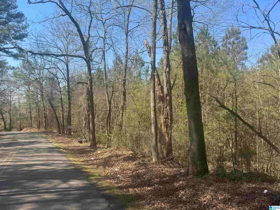 7 Acres WILLINGHAM BRIDGE ROAD, Anniston, AL 36201 - #3