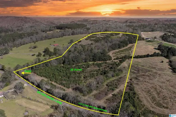 0 SEVEN BARK LANE, Oneonta, AL 35121