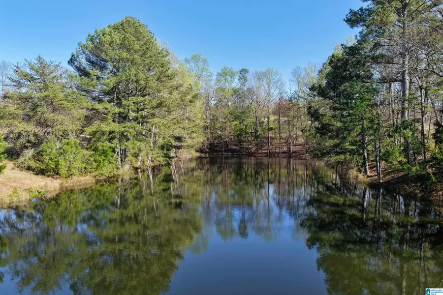 0 SEVEN BARK LANE, Oneonta, AL 35121 - #3