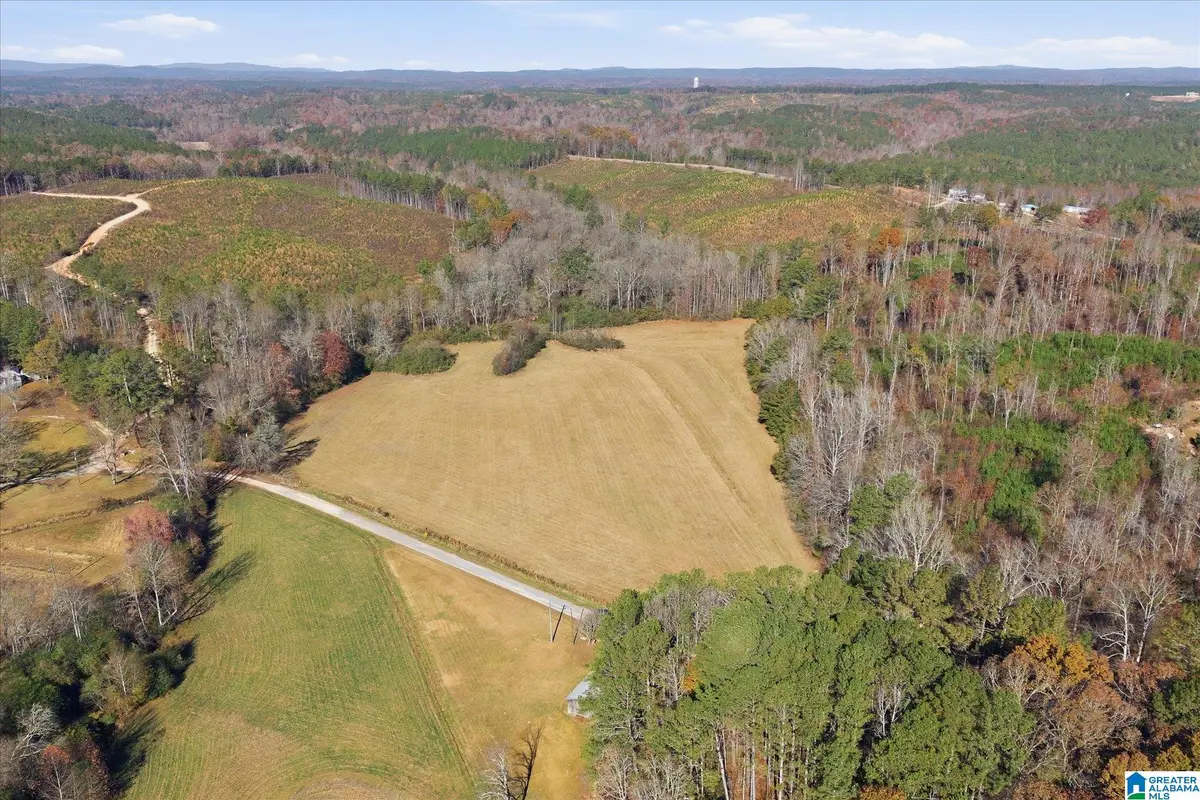 0 COUNTY ROAD 84, Heflin, AL 36264 - #1