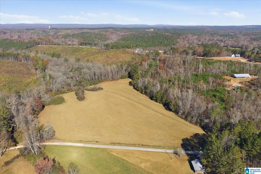 0 COUNTY ROAD 84, Heflin, AL 36264 - #2