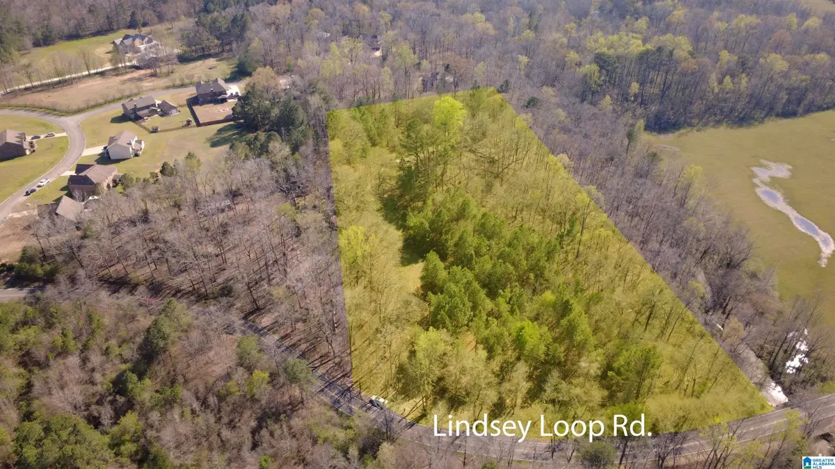 3590 LINDSEY LOOP ROAD, Bessemer, AL 35022 - #1