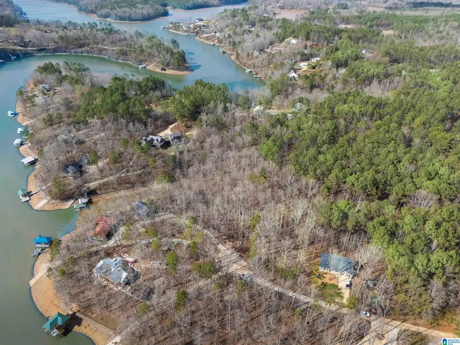 0 CREEK RUN ROAD, Wedowee, AL 36278 - #3