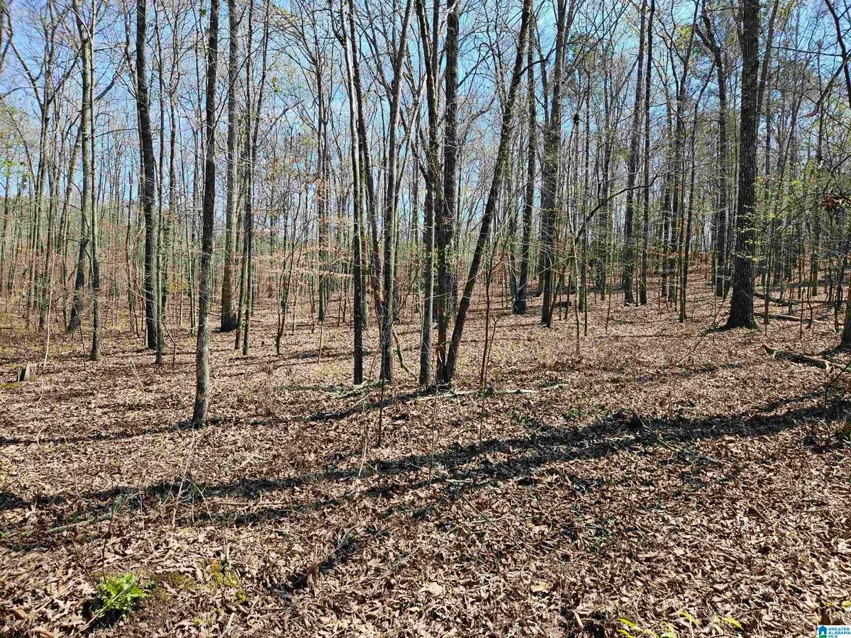 300 OAK VALLEY DRIVE, Ashville, AL 35953 - #1