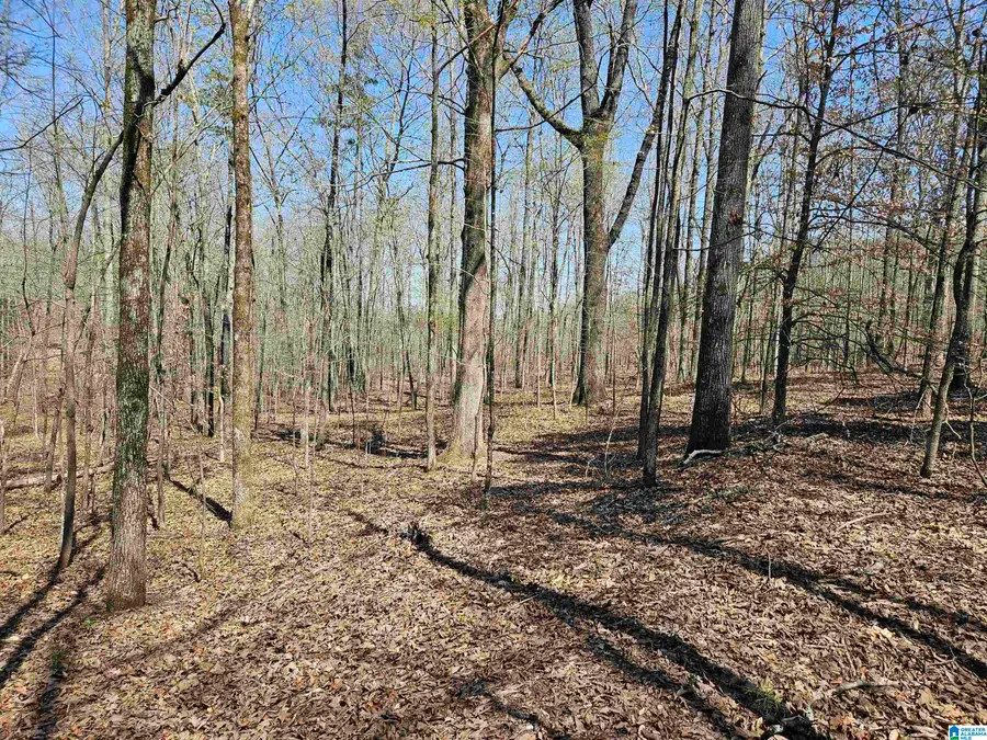 300 OAK VALLEY DRIVE, Ashville, AL 35953 - #3