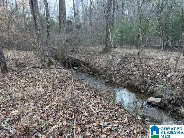 170 VALLEY GROVE ROAD, New site, AL 35010