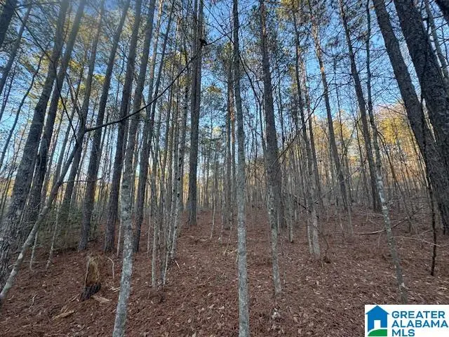 170 VALLEY GROVE ROAD, New Site, AL 35010 - #2