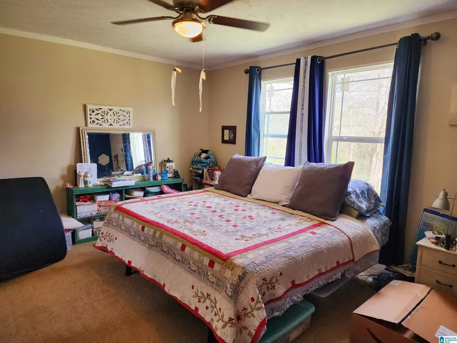 10785 MACKS ROAD, Coaling, AL 35453 - #3