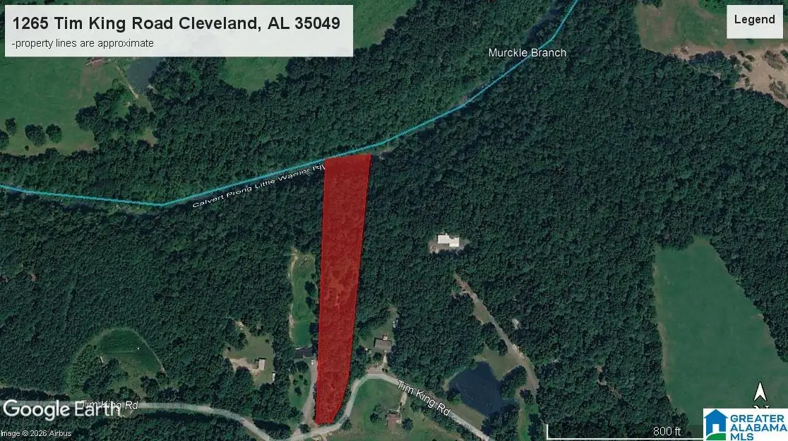 1265 TIM KING ROAD, Cleveland, AL 35049 - #1