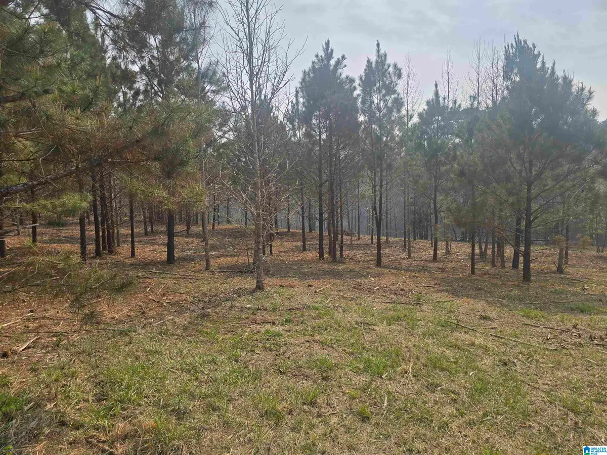 000 COUNTY ROAD 108, Rockford, AL 35136 - #1