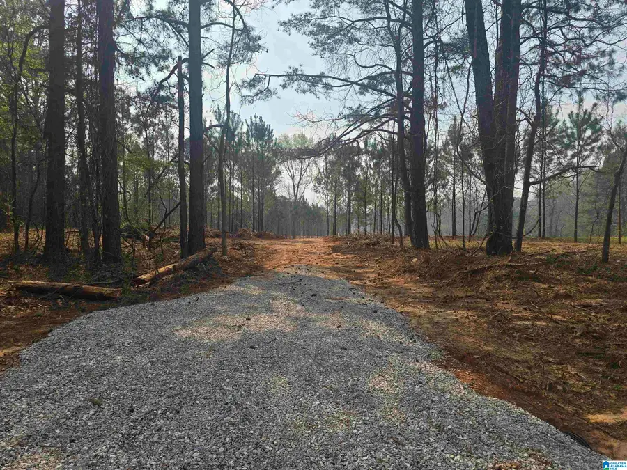 000 COUNTY ROAD 108, Rockford, AL 35136 - #2
