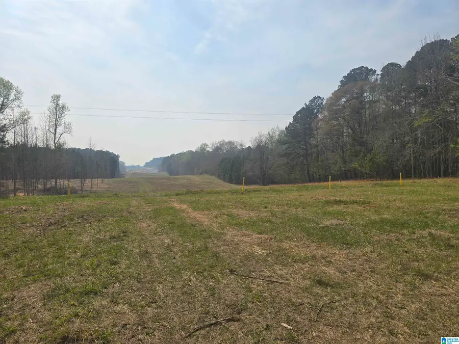 000 COUNTY ROAD 108, Rockford, AL 35136 - #3