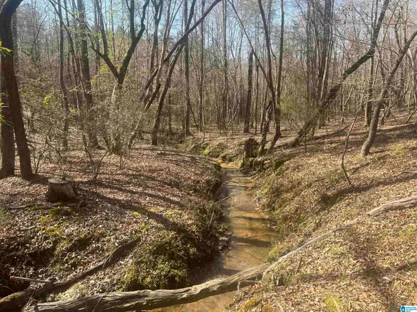 0 CRYSTAL LAKE ROAD, West blocton, AL 35184