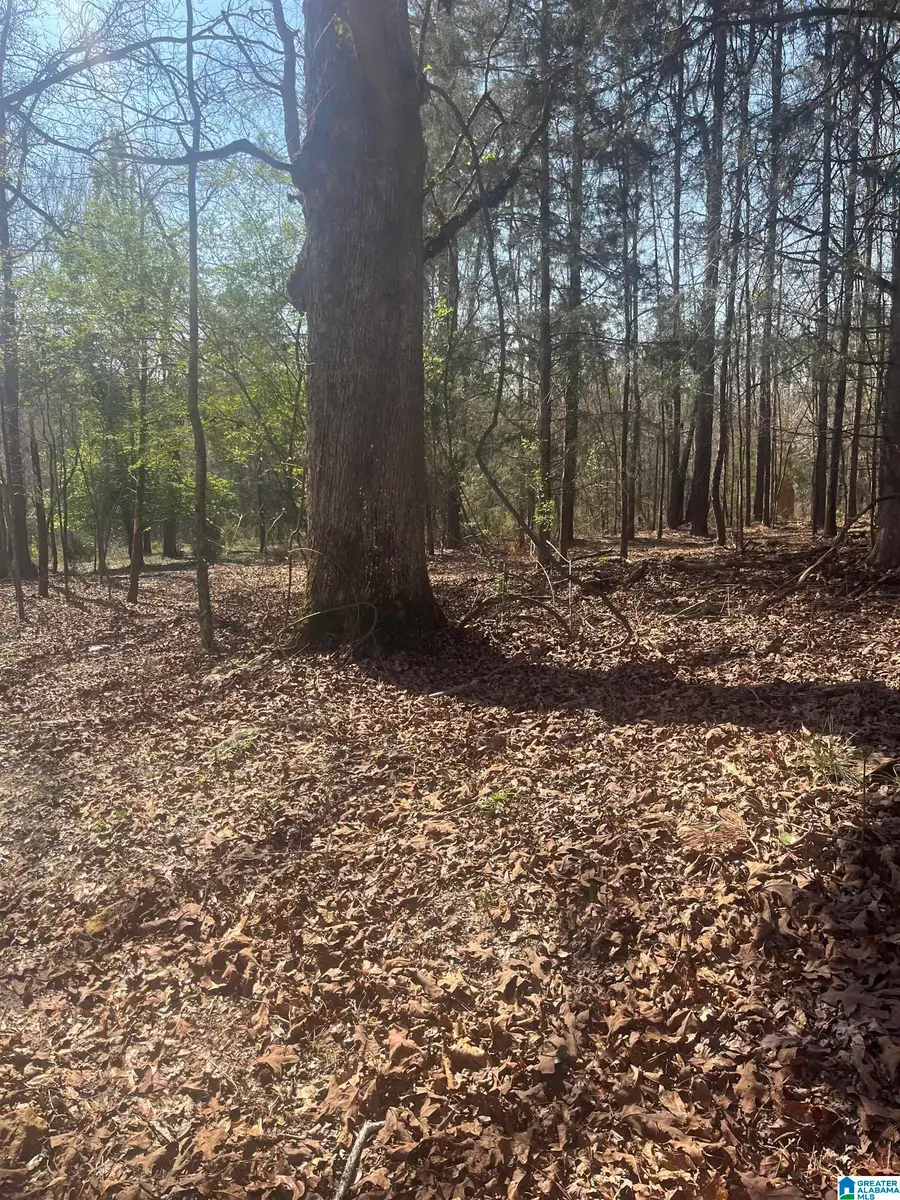 0 CRYSTAL LAKE ROAD, West Blocton, AL 35184 - #2