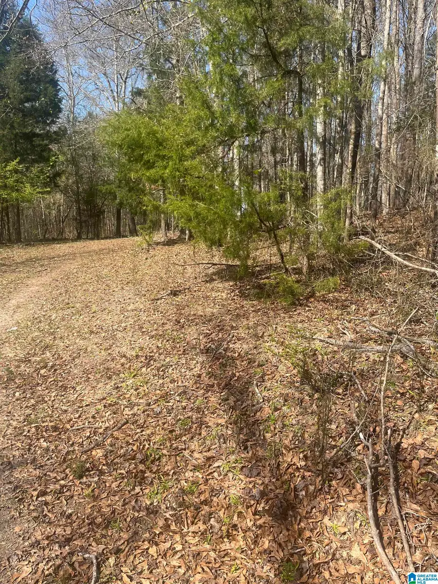 0 CRYSTAL LAKE ROAD, West Blocton, AL 35184 - #3