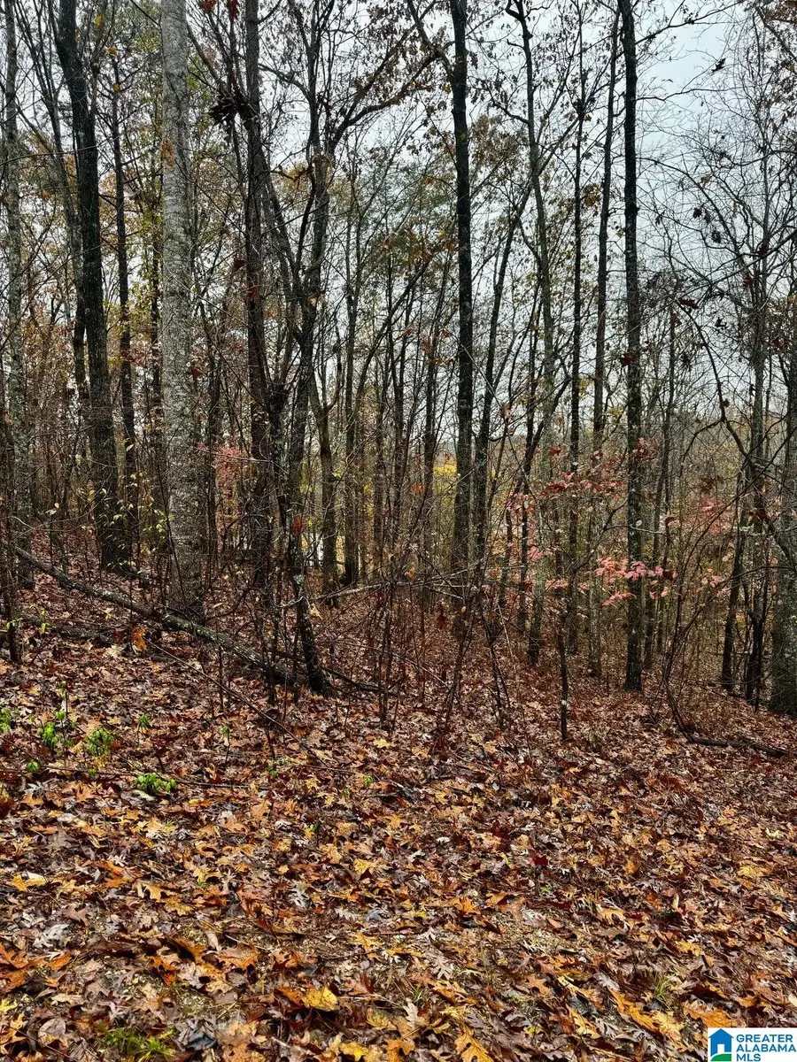 117 AMORE LANE, Chelsea, AL 35043 - #3