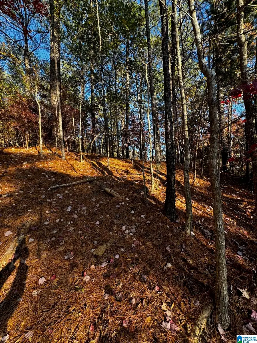 3724 CHESTNUT RIDGE LANE, Vestavia Hills, AL 35216 - #2