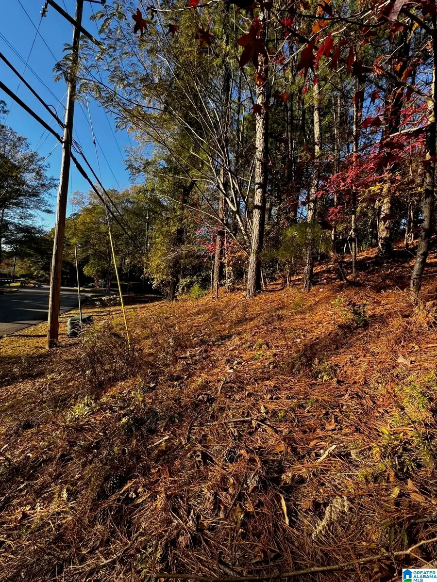 3724 CHESTNUT RIDGE LANE, Vestavia Hills, AL 35216 - #3