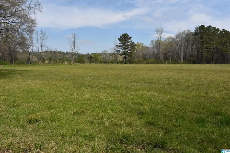 2323 MOTES ROAD, Sylacauga, AL 35150 - #3