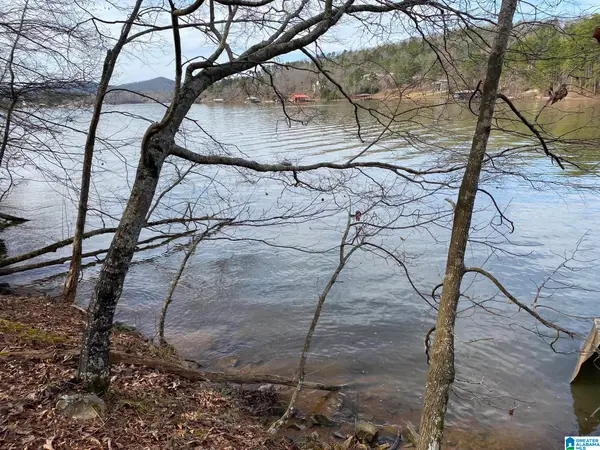 MOHAWK CLIFF ROAD, Ohatchee, AL 36271