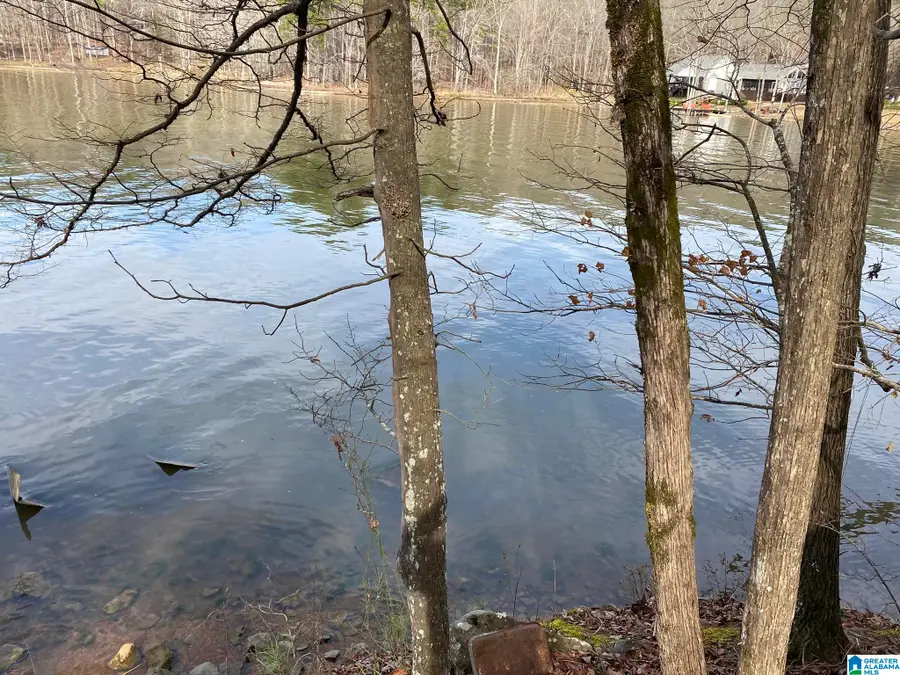 MOHAWK CLIFF ROAD, Ohatchee, AL 36271 - #2