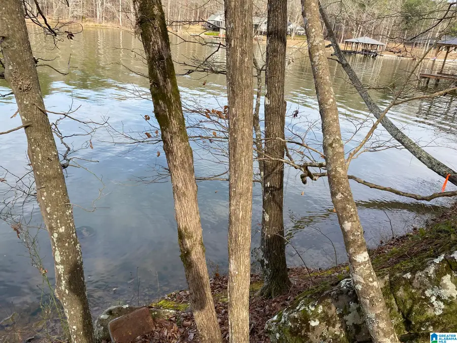 MOHAWK CLIFF ROAD, Ohatchee, AL 36271 - #3