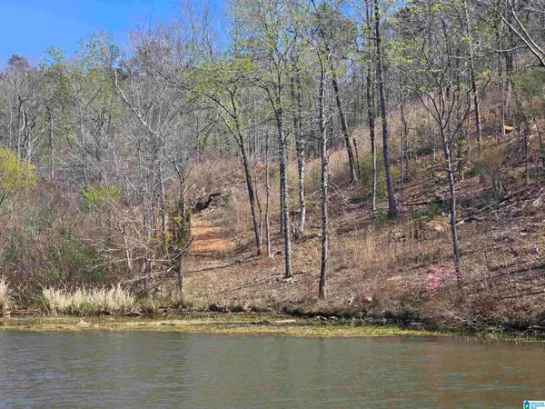 Lot 16 EAGLE POINT TRACE, Rockford, AL 35136