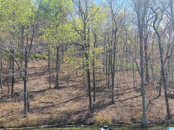 Lot 17 EAGLE POINT TRACE, Rockford, AL 35136