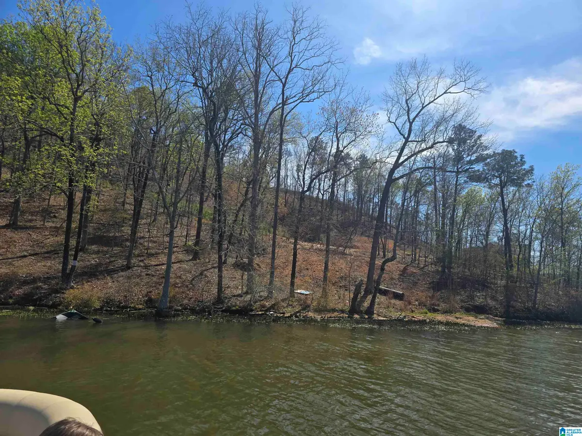 Lot 18 EAGLE POINT TRACE, Rockford, AL 35136 - #1