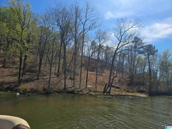 Lot 18 EAGLE POINT TRACE, Rockford, AL 35136