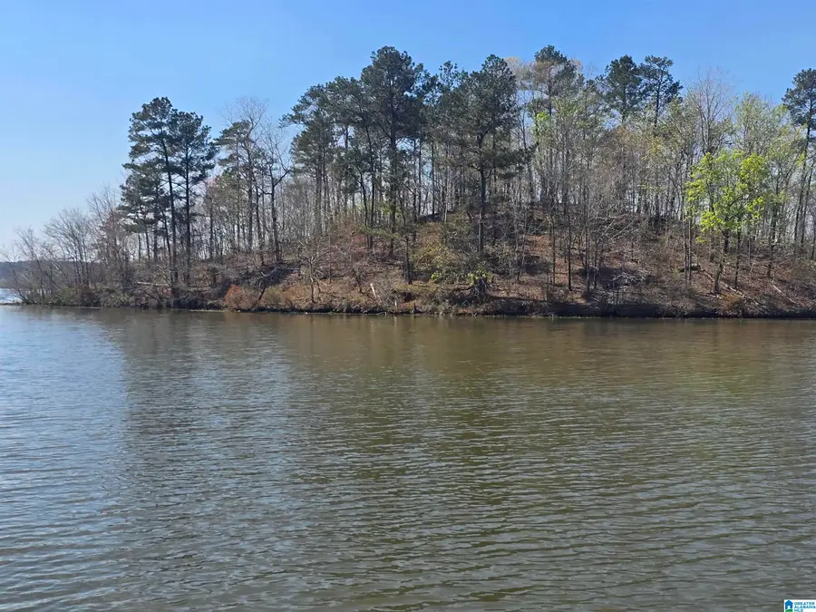 Lot 18 EAGLE POINT TRACE, Rockford, AL 35136 - #3