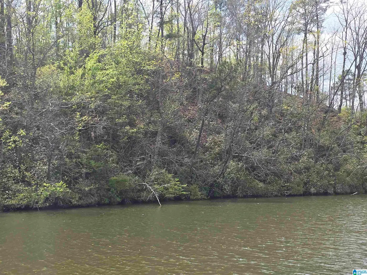 LOT 6 EAGLE MOUNTAIN ROAD, Rockford, AL 35136 - #1