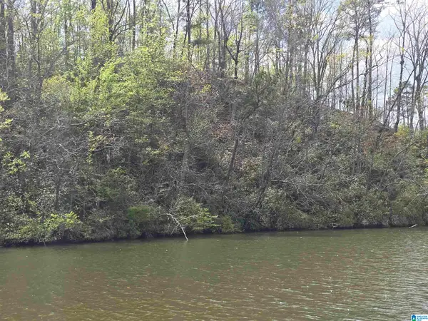 LOT 6 EAGLE MOUNTAIN ROAD, Rockford, AL 35136