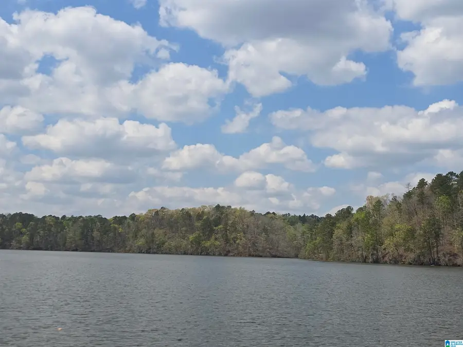 LOT 6 EAGLE MOUNTAIN ROAD, Rockford, AL 35136 - #2
