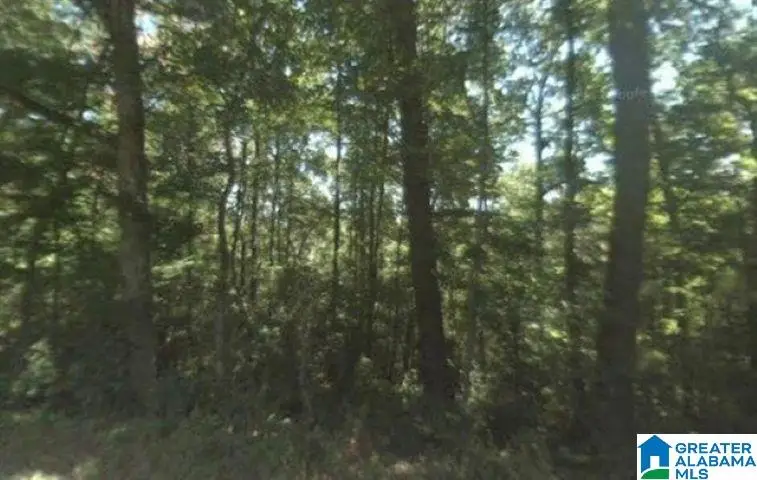 0 DORNING ROAD, Trafford, AL 35172 - #1