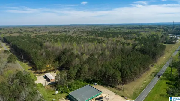 AIRPORT ROAD, Jasper, AL 35504