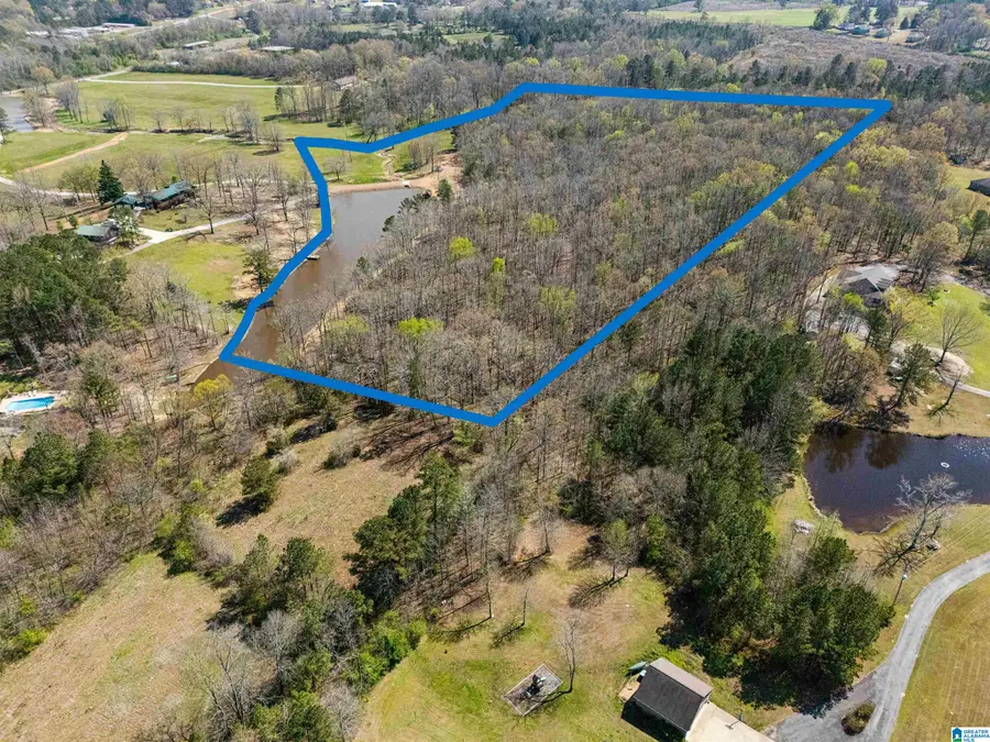 23 Acres OLD CENTRE HIGHWAY, Piedmont, AL 36272 - #3