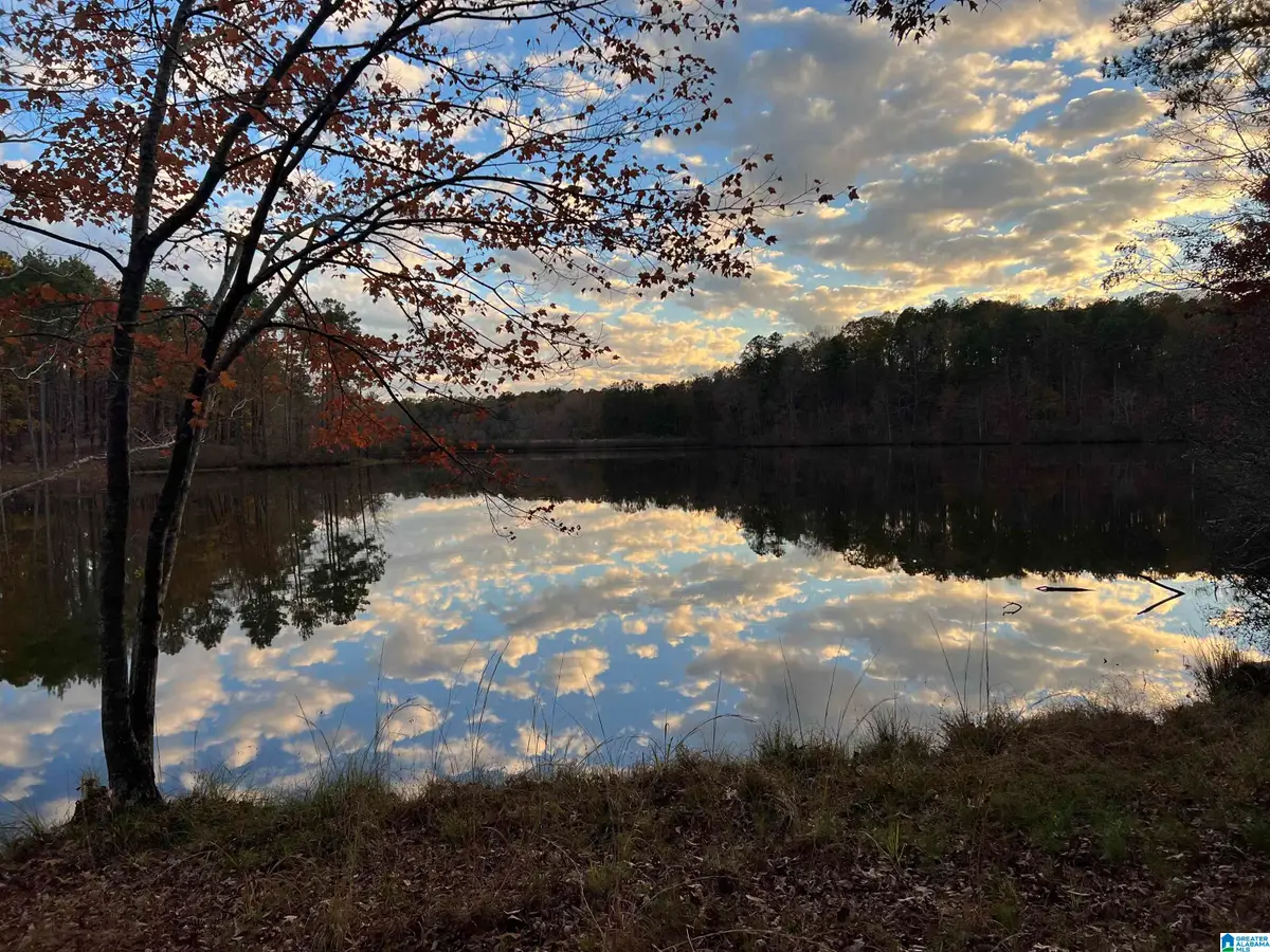 0 DEER RUN ROAD, Alabaster, AL 35007 - #1