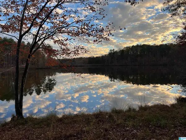 0 DEER RUN ROAD, Alabaster, AL 35007