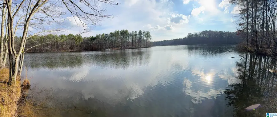 0 DEER RUN ROAD, Alabaster, AL 35007 - #3