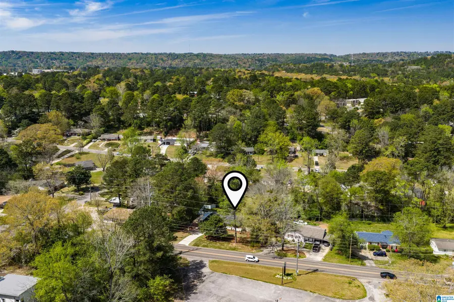 2204 ROCKY RIDGE ROAD, Hoover, AL 35226 - #2