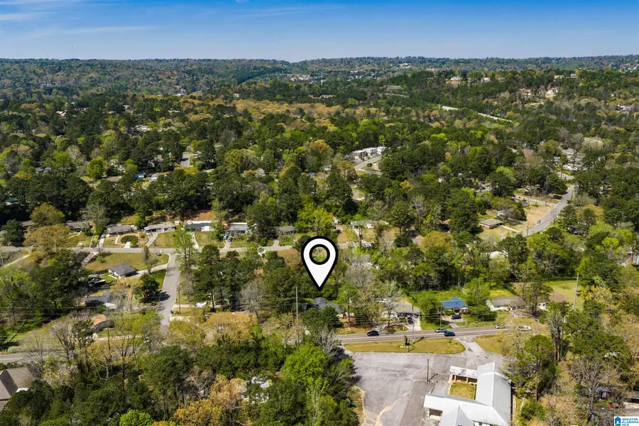 2204 ROCKY RIDGE ROAD, Hoover, AL 35226 - #3