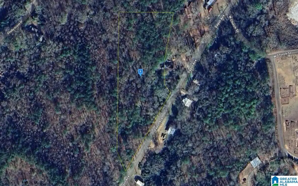 209 DEPOT AVENUE, Jacksons Gap, AL 36861 - #1